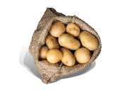 Zemiaky žlté skoré neprané 1 kg